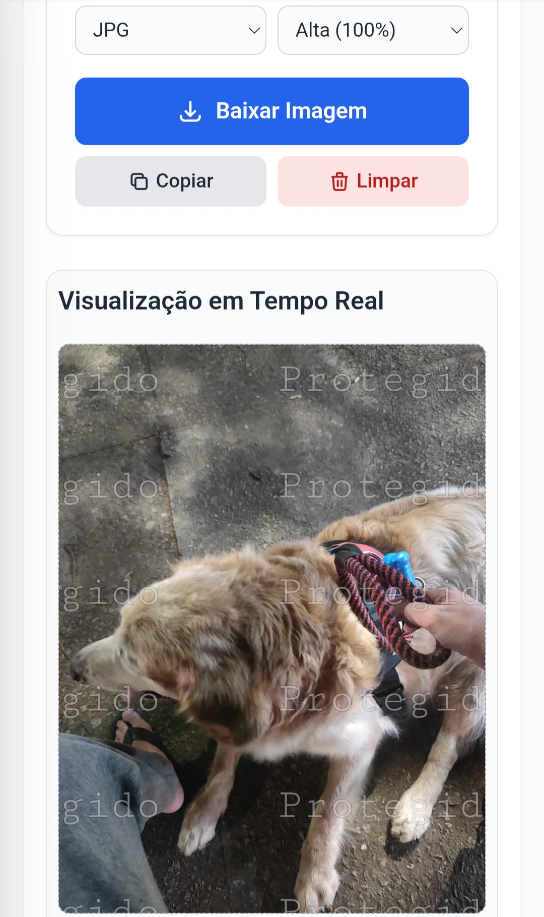 Demonstração do Canvas de Proxy renderizando em tempo real sem travamentos